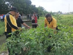 Ketahan Pangan Terus Digencarkan Kapolsek Krian Turun Langsung Cek Desa Junwangi