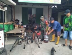 Cegah Demam Berdarah, Peran TNI Dampingi Fogging di Wilayah Puri