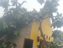 Dihantam Angin Puting Beliung, Rumah Warga Tertimpa Pohon di Sumenep