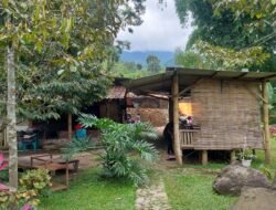 Menikmati Sajian Menu Masakan Dengan View yang Ashri Serta Konsep Pedesaan Dihadirkan di Warung Tegal Watu Pacet
