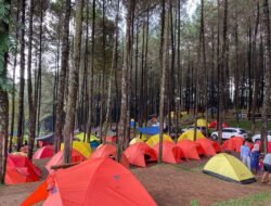 Alas Veenuz Trawas, Destinasi Wisata Alam yang Menarik di Mojokerto