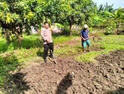 Pagi Pagi Polisi Sudah Cek Lahan Pastikan Optimalisasi Pengolahan Ketahanan Pangan Bergizi