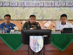 Tingkatkan Kesejahteraan Petani, Kodim 0815/Mojokerto Bersama Bulog Sosialisasikan Serapan Gabah & Beras