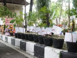 Sebagai Bentuk Ucapan, Tanaman Jadi Pengganti Karangan Bunga