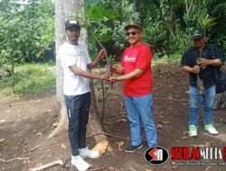 Aksi Nyata Penggiat Pariwisata Bersama Relawan Hijaukan Pantai Sugu dengan Mangrove