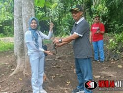 Sandination Youth Ambassador Dukung Penanaman Mangrove di Pantai Sugu