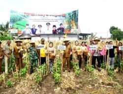 Wakil Bupati Blitar Hadiri Panen Raya Jagung di Balerejo