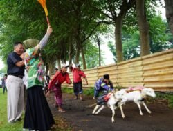Wakil Wali Kota Probolinggo Buka Lomba Kerapan Kambing