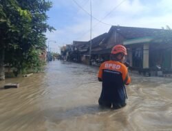 Luapan Banjir Kali Lamong, Merendam Wilayah Permukiman Dan Persawahan Di Balongpanggang Dan Benjeng