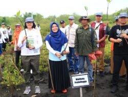 Wujudkan Probolinggo Bersolek, Pemkot Probolinggo Tanam Mangrove di Pantai Permata