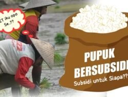 Di Tuban Pupuk di atas HET Merajalela, Pejabat berwenang Tuban , Pemprov Jatim Hingga PT PI Acuh, tak Gubris Laporan LSM PGB??