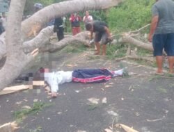 Naas, Pelajar SMA di Melaya Tewas Tertimpa Pohon Tumbang Saat Menuju Sekolah