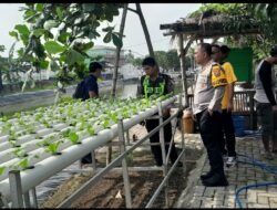 Wakapolresta Sidoarjo Tinjau Pelaksanaan Ketahanan Pangan di Desa Ponokawan Krian