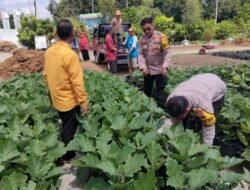 Gotong Royong Distribusikan Bibit Hortikultura di Desa Lemujut