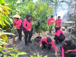 Bhayangkari Cabang Kota Sidoarjo Kelolah Pekarangan Pangan Lestari