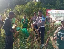 Kapolres Pasuruan Dukung Ketahanan Pangan, Apresiasi Panen Raya Jagung di Winongan