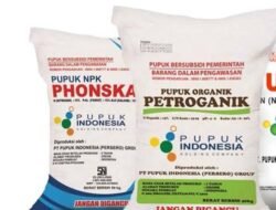 Pimpinan LSM PGB Temui Perwakilan PT Pupuk Indonesa, Terkait Dugaan Pungli PT FIMACO di Tuban