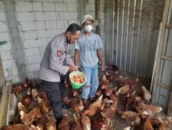 Bersama Tim Ketahanan Pangan Polresta Sidoarjo Polsek Taman Dampingi Peternakan Ayam