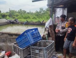 Budidaya Ikan Lele Diapresiasi Jajaran Polresta Sidoarjo Bersama Polsek Tanggulangin