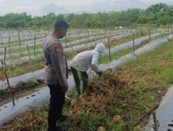 Beri Arahan Mengelolah Tanah Yang Benar Anggota Polresta Sidoarjo Bersama Polsek Tarik