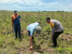 Jajaran polsek Prambon Dan Polresta Sidoarjo Laksanakan Pengecekan Lahan P2B
