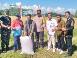Bupati Blitar Panen Raya Padi di Desa Tembalang