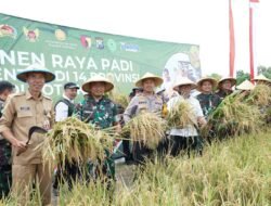 Wakil Wali Kota Ikuti Panen Padi Serentak 14 Provinsi di Seluruh Indonesia Bersama Presiden Prabowo