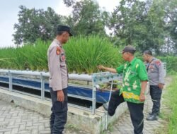 Polsek Wonorejo Genjot Ketahanan Pangan dengan Konsep Hidroponik dan Lele