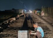 Demi Kenyamanan Pengguna Jalan, URC Bina Marga DPUTR Gresik Kebut Pemeliharaan Jalan Kedanyang- Banjarsari