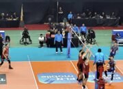 LavAni Terlalu Kuat Bagi Samator Saat Menang 3-0