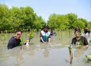 Peringati Hari Bumi, Nurul Hayat Bersama BPBD Gresik dan Komunitas Kompak Adventure Tanam Ribuan Pohon Mangrove