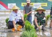 Tanam Padi Serentak Bersama Presiden Prabowo, Pemerintah Kota Mojokerto Optimalkan Lahan Sawah