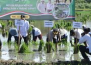 Bersama Presiden RI Secara Daring, Wakapolres Lamongan Lakukan Gerakan Menanam Padi Serentak