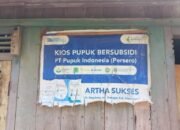 Kios Pupuk ”Arta Sukses” Banyubang tak layak Masih beroperasi. ada Apa dengan Distributor Grabagan Tuban
