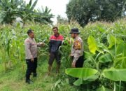 Desa Penambangan Barsama Jajaran Polresta Sidoarjo Mendukung program ketahanan Pangan Astacita