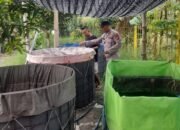 Warga Desa Trosobo Manfaatkan Lahan Kosong untuk Kolam Bioflok Pembesaran Lele