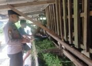 Dukung Ketahanan Pangan Nasional, Polsek Taman Sambang Desa ke Peternak Kambing
