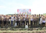 Polres Kediri Kota Panen Raya Jagung, Wujud Nyata Dukung Swasembada Pangan