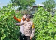 Polsek Balongbendo Semangati Warga Kembangkan Tanaman Hortikultura