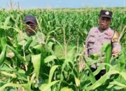 Progres Polsek Balongbendo Beri Semangat Warga Bakung Temenggungan