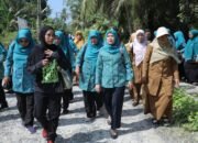Ketua PKK Kabupaten Asahan Ny. Yusnila Indriati Taufik Monitoring Lomba Hatinya PKK Tingkat Sumut
