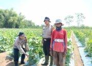Polresta Sidoarjo Melalui Program Polri Cinta Petani Dan Astacita Swasembadapangan