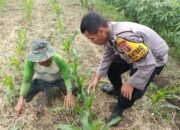 Desa Jeruk Legi Siap Dukung Ketahanan Pangan Polresta Sidoarjo