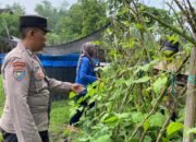 Polresta Sidoarjo Bersama Jajaran Polsek Balongbendo Melak Sanakan Program Ketahanan Pangan