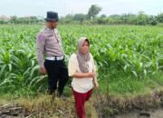 Polresta Sidoarjo Melalui Desa Wonokupang Mendukung Program Ketahanan Pangan Polri Cinta Petani
