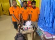 3 Tersangka Pencurian Hewan Ternak di Tangkap Polsek Bandar Pulau