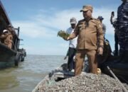 Wakil Bupati Asahan Bersama Danlanal TBA Tabur Benih Kerang Dara di Desa Silau Baru