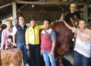 Plt Bupati Gresik Pastikan Dua Ekor Sapi Milik Peternak Gresik yang Dibeli Presiden Prabowo