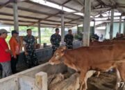 Dandim 0815/Mojokerto Apresiasi Program UPPO di Koramil Jetis, Solusi Pupuk Organik untuk Petani