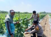 Desa Bakungpringgodani Dukung Ketahanan Pangan Polresta Sidoarjo